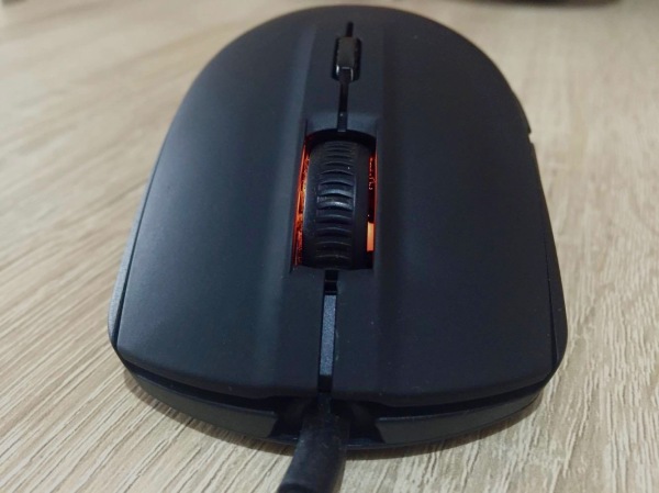 12591873_10204134090311322_1159822528_o