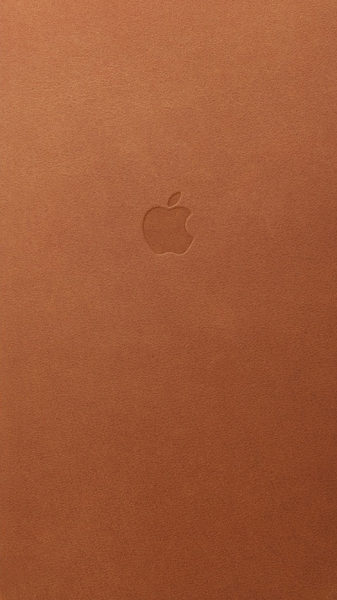 Saddle-Brown-By-JasonZigrino