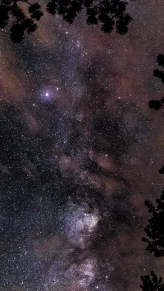 space-star-night-sky-fall-nature-wood-34-iphone6-plus-wallpaper-576x1024