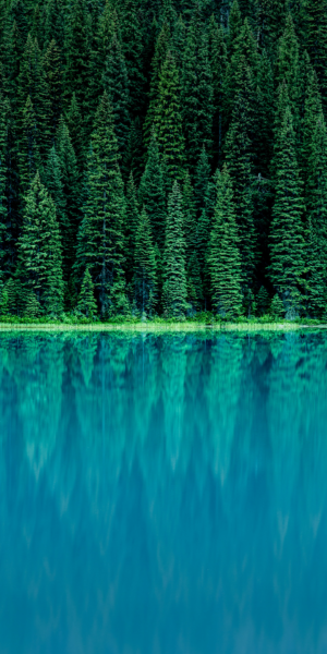 LG-G6-Stock-Wallpapers-4