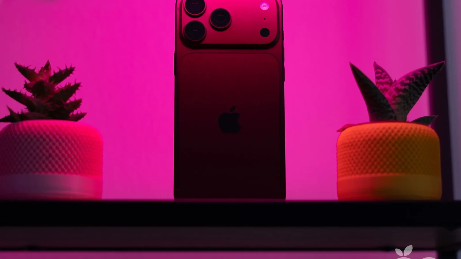 iPhone 18 Pro Max burgundy barva